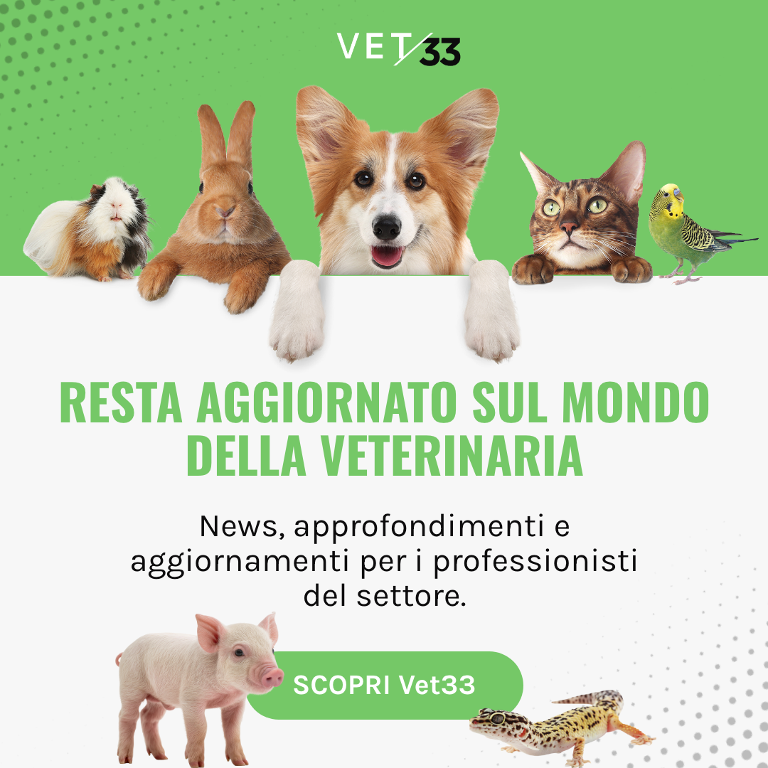 Veterinaria promo ebook 2025