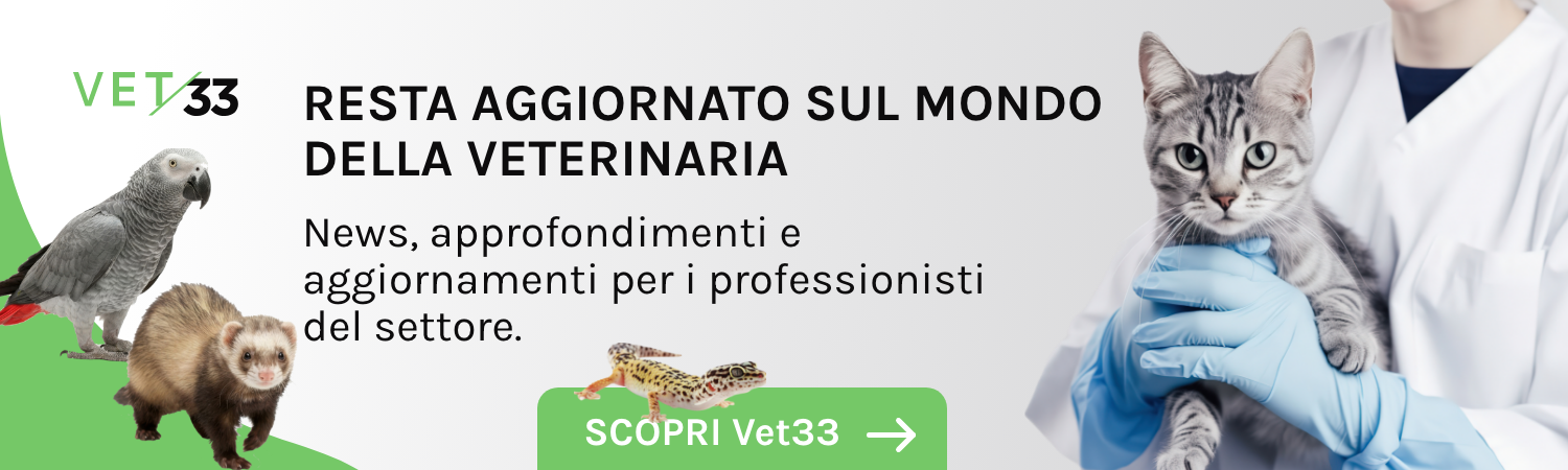 Veterinaria promo ebook 2025