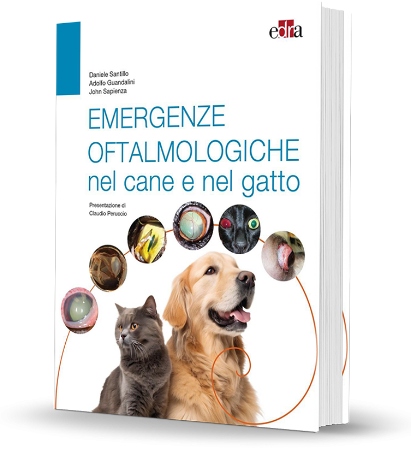 EMERGENZE OFTALMOLOGICHE NEL CANE E NEL GATTO