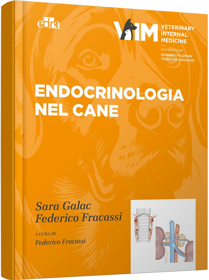 ENDOCRINOLOGIA NEL CANE