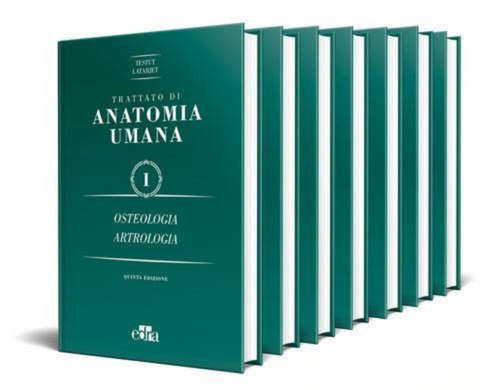 Trattato anatomia umana